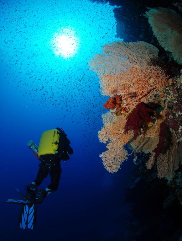The Breakers Diving And Surfing Soma Bay Rezort